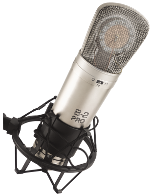 Dual Diaphragm Condenser Microphone